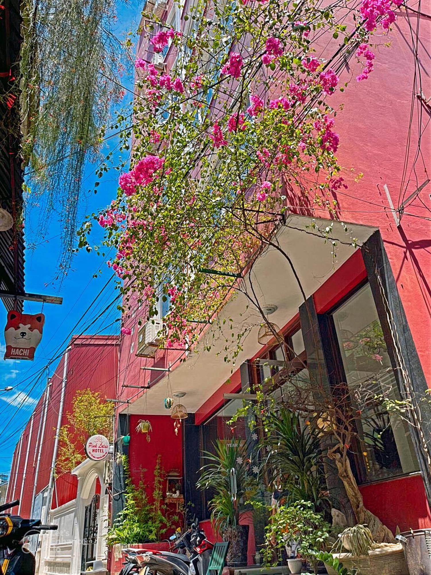 Pink Lotus Hotel Hue Exterior photo